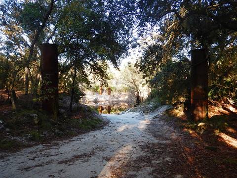 paddling Suwannee River, Turner Boat Ramp