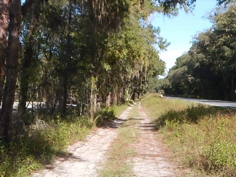 paddling Suwannee River, Cone Bridge