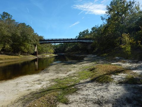 paddling Suwannee River, Cone Bridge