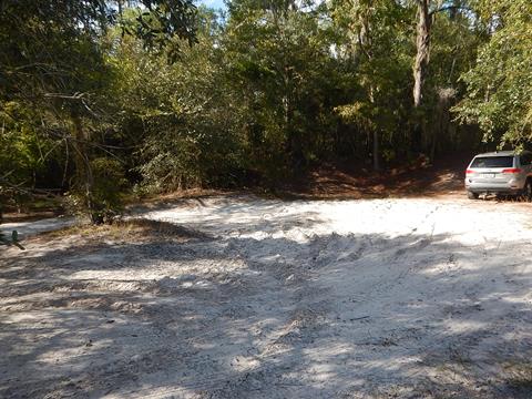 paddling Suwannee River, Cone Bridge