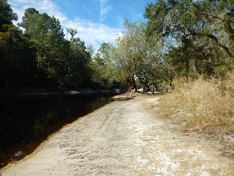 paddling Suwannee River, Cone Bridge