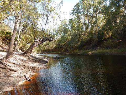 paddling Suwannee River, Cone Bridge