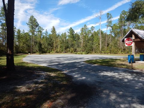 paddling Suwannee River, Cone Bridge