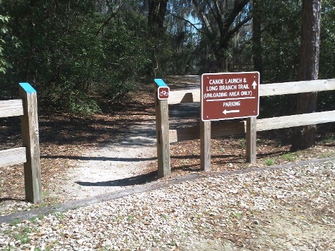 paddling Suwannee River, Big Shoals SP