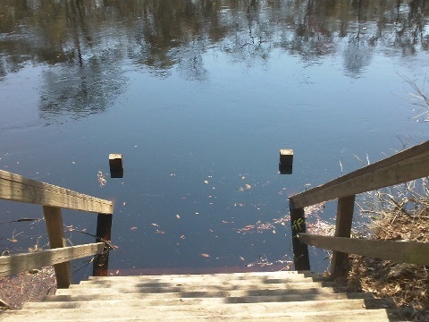 paddling Suwannee River, Big Shoals SP