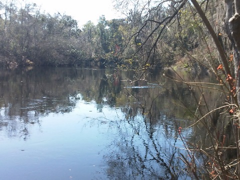 paddling Suwannee River, Big Shoals SP