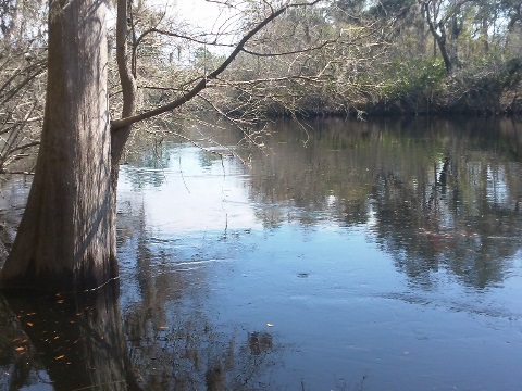 paddling Suwannee River, Big Shoals SP