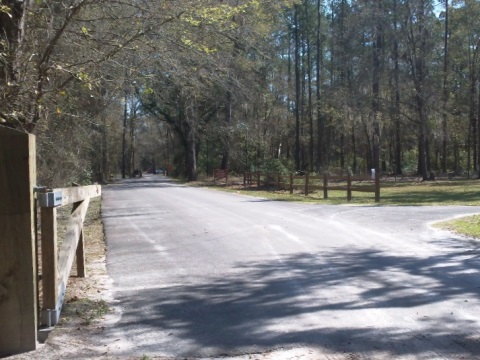 paddling Suwannee River, Big Shoals SP