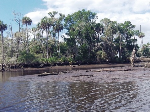 paddling Otter Creek, kayak, canoe