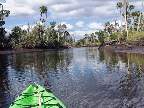 paddling Otter Creek, kayak, canoe