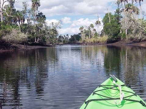paddling Otter Creek, kayak, canoe