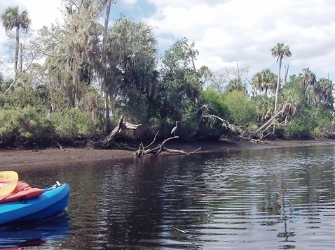 paddling Otter Creek, kayak, canoe