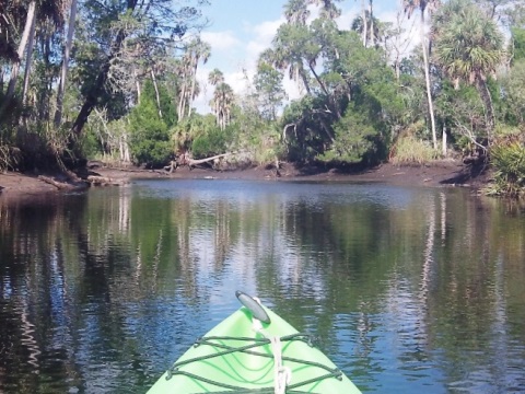 paddling Otter Creek, kayak, canoe