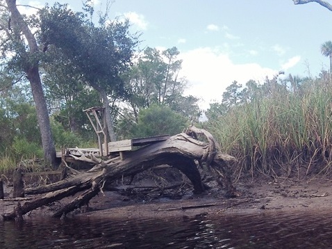 paddling Otter Creek, kayak, canoe