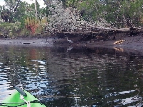 Wacasassa River launch