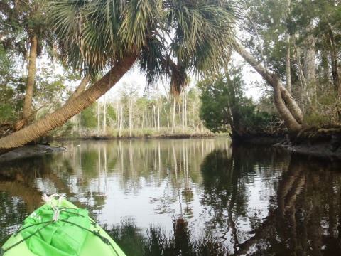 paddle Waccasassa River, kayak, canoe