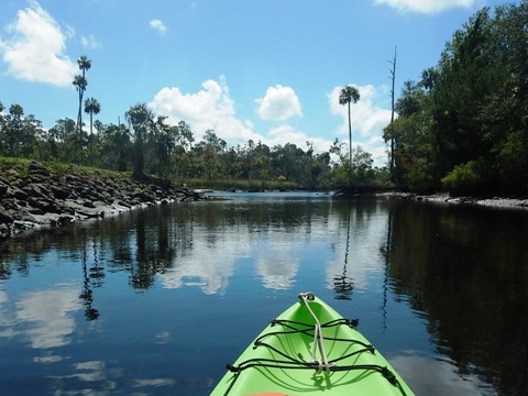 paddling Waccasassa River, kayak, canoe