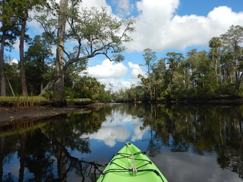 paddling Waccasassa River, kayak, canoe