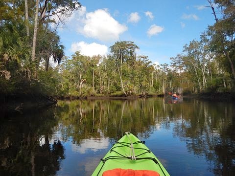 paddling Waccasassa River, kayak, canoe