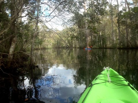 paddling Waccasassa River, kayak, canoe