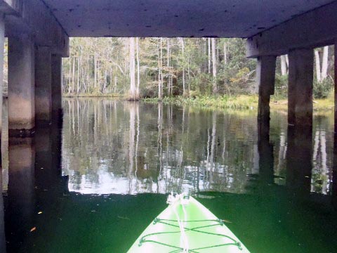 paddling Waccasassa River, kayak, canoe