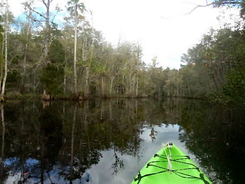 paddling Waccasassa River, kayak, canoe