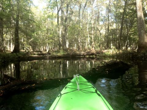 paddling Waccasassa River, kayak, canoe