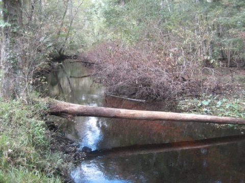 paddling Otter Creek, kayak, canoe