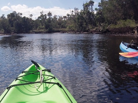 paddling Waccasassa River, kayak, canoe