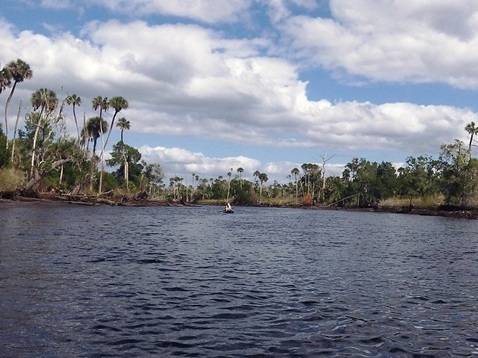 paddling Waccasassa River, kayak, canoe