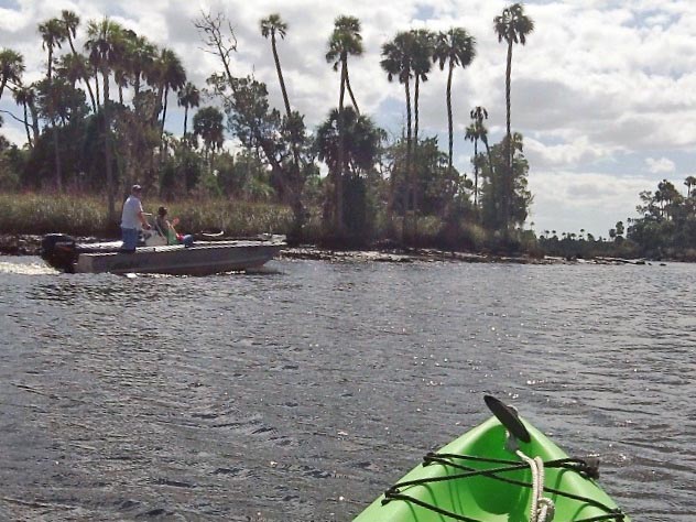 paddling Waccasassa River, kayak, canoe