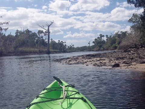 paddling Waccasassa River, kayak, canoe