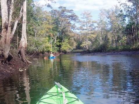 Wekiva River, Levy County