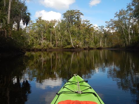 paddling Wekiva River, Levy County, kayak, canoe