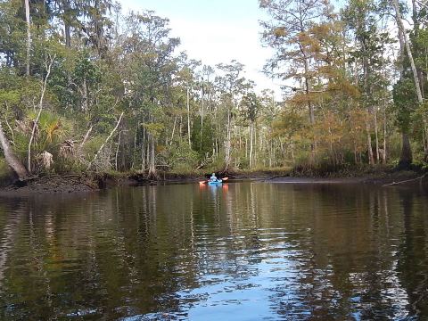 paddling Wekiva River, Levy County, kayak, canoe