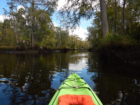 paddling Wekiva River, Levy County, kayak, canoe