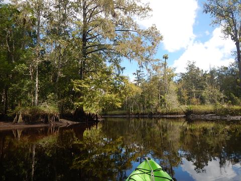paddling Wekiva River, Levy County, kayak, canoe