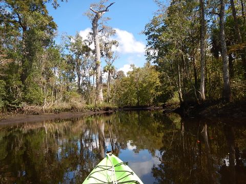 paddling Wekiva River, Levy County, kayak, canoe