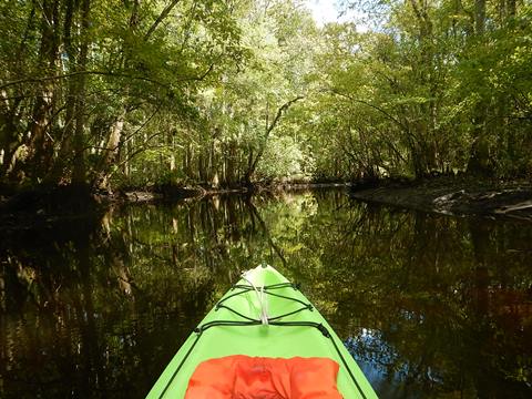 paddling Wekiva River, Levy County, kayak, canoe