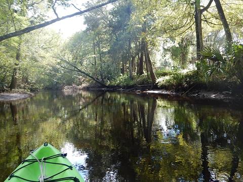 paddling Wekiva River, Levy County, kayak, canoe