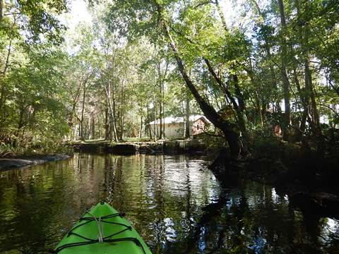 paddling Wekiva River, Levy County, kayak, canoe