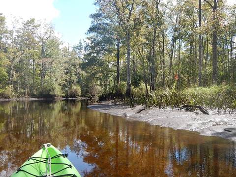 paddling Wekiva River, Levy County, kayak, canoe