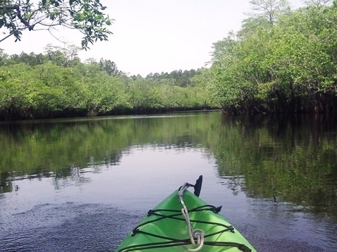 Apalachicola River WEA