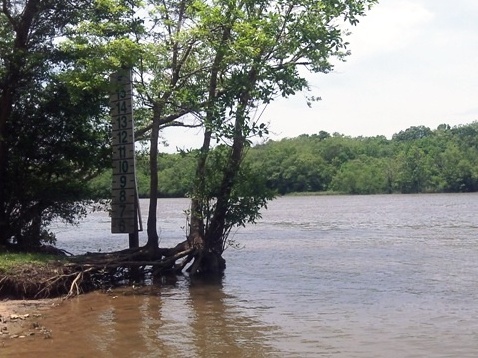 paddling, Apalachicola River ARWEA, Bloody Bluff Landing