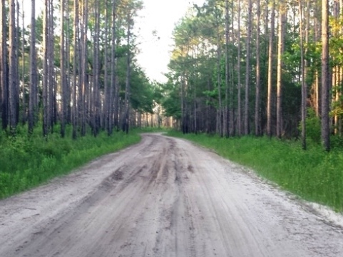 paddling, Apalachicola River WEA, Gardner Creek Landing