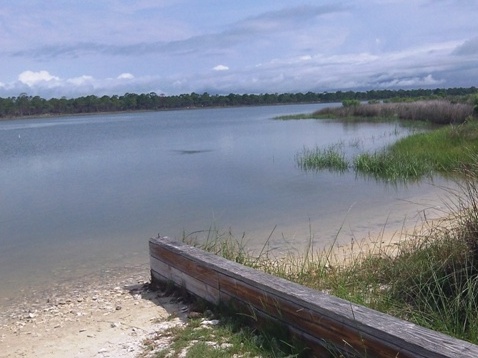 paddling, Apalachicola Bay, St. George Island
