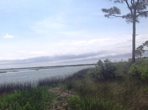 paddling on Apalachicola Bay