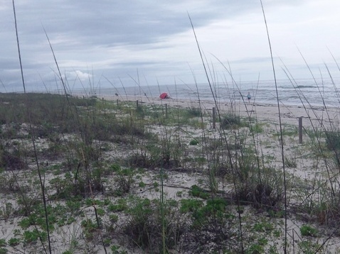 St. George Island State Park