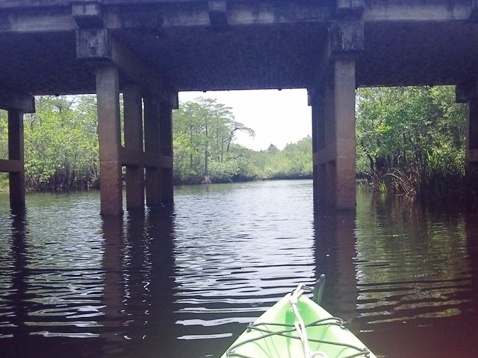 paddling, Apalachicola River ARWEA, Bloody Bluff Landing