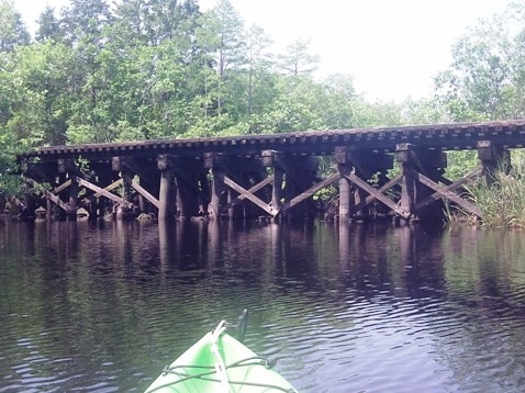 paddling, Apalachicola River ARWEA, Bloody Bluff Landing